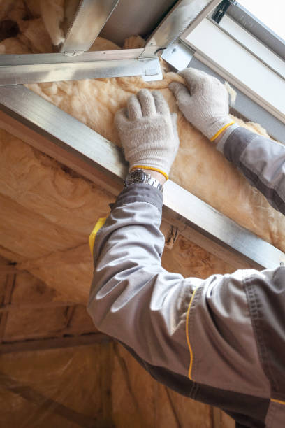 Best Commercial Insulation in Mona, UT