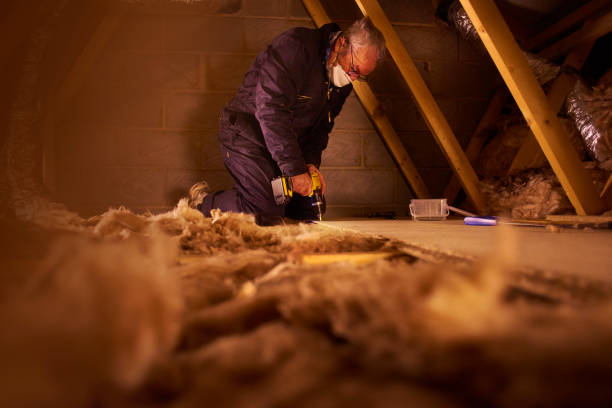 Best Insulation Maintenance and Repair in Mona, UT